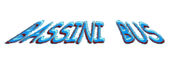 bassini