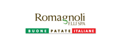 romagnoli